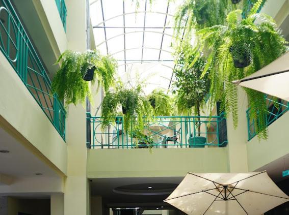 Young Place Bangkok Exterior photo